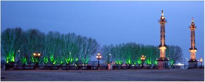Bordeaux vert